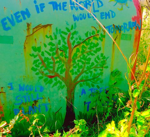 Screen Shot 2019-10-25 at 16.35.06