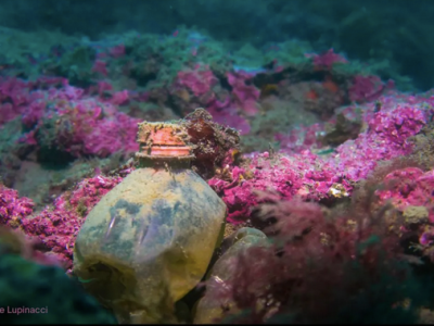 Photo exhibition on New Hybrid Ecologies of the Mediterranean&nbsp;Sea