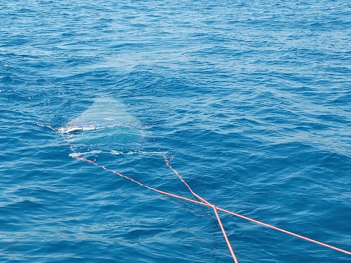 SeaPaCS – Work in&nbsp;Progress!