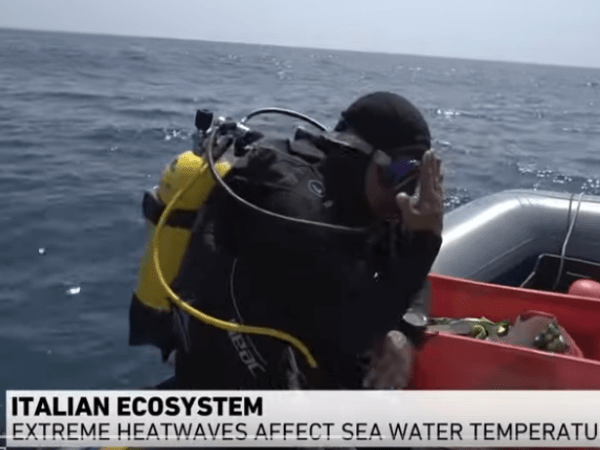 Al-Jazeera’s report to Anzio on the health of our&nbsp;seas