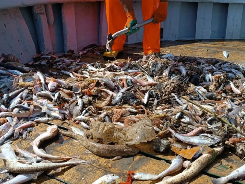 SeaPaCS on Geography&nbsp;Directions