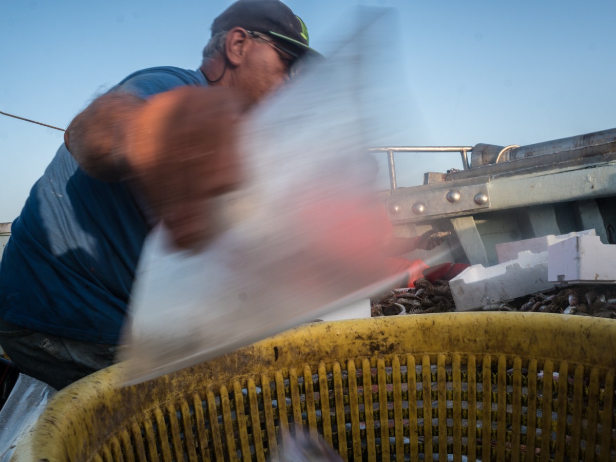 Reusable fish boxes against polystyrene pollution_SeaPaCS