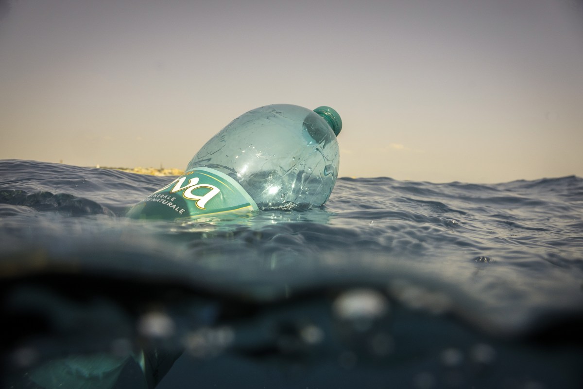 Marine Visual Geo on Oceanic Assemblages at RGS&nbsp;AC2024