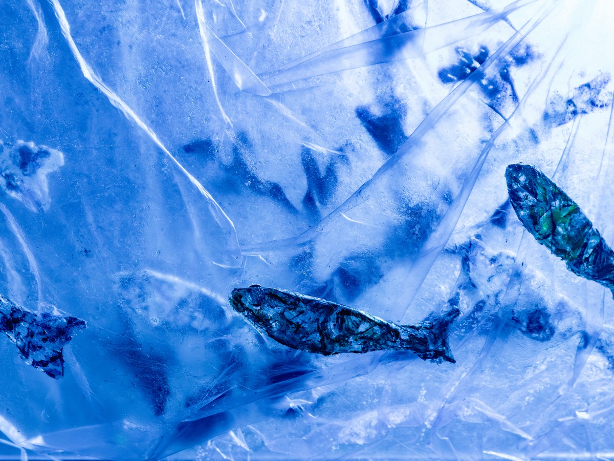 PartArt4OW_kick-off meeting