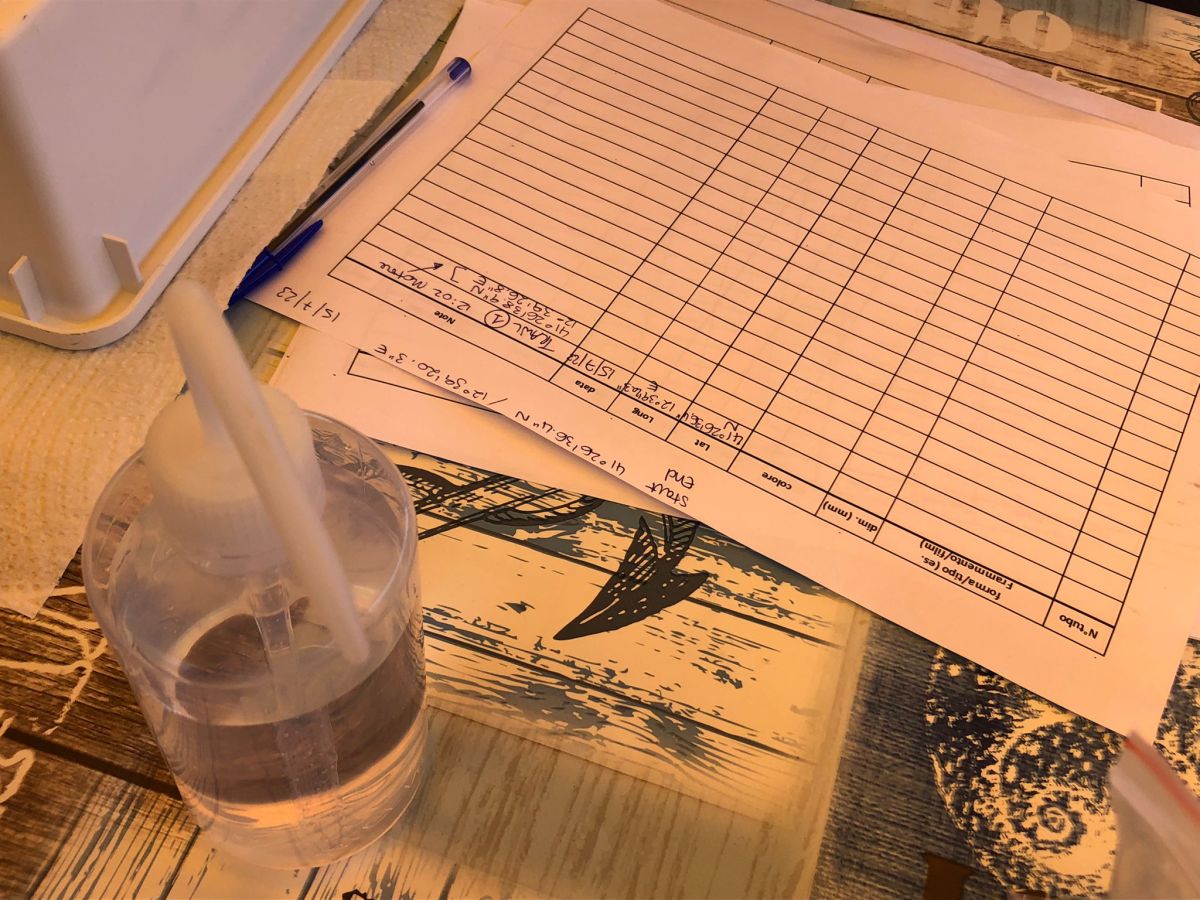 Marine Social Geography. CO>SEA workshop on science/creativity/participation for the Ocean&nbsp;@PartArt4OW