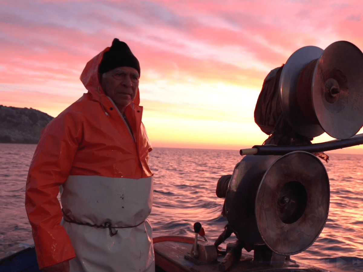 New video reportage “Blue Kinships. Documenting Ocean Relationships”