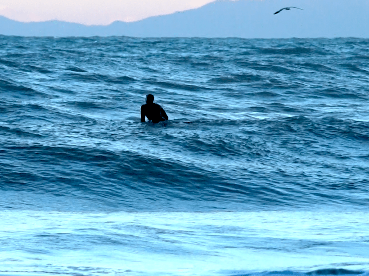 Premiere of  “The Sense of Place” @Nuit des Idees – French&nbsp;Embassy