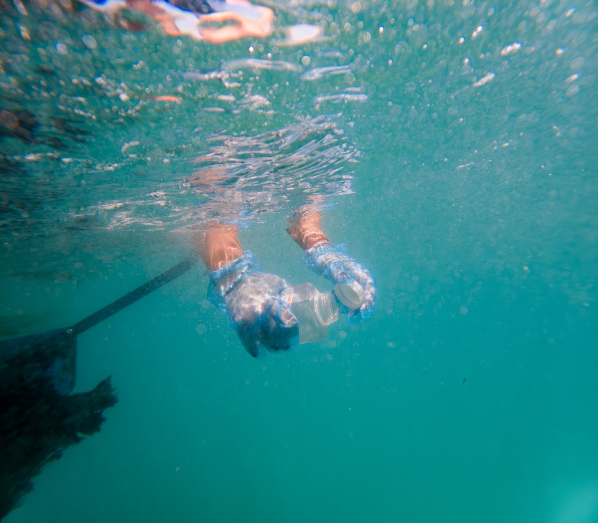 CoSea. Critical Visions from the Sea_new video-docu&nbsp;out